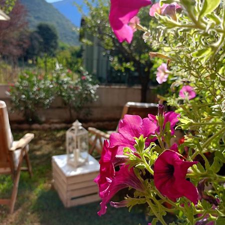 La Civetta Appartamento Con Giardino E Parcheggio Nave  Exteriör bild